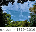The blue sky beyond the forest 131941010