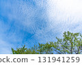 Autumn clouds and trees 131941259