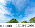 Autumn clouds and trees 131941260