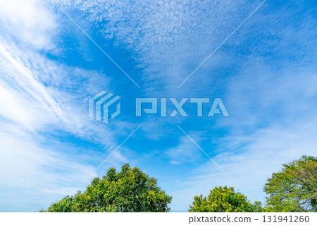 Autumn clouds and trees 131941260