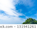 Autumn clouds and trees 131941261