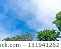 Autumn clouds and trees 131941262