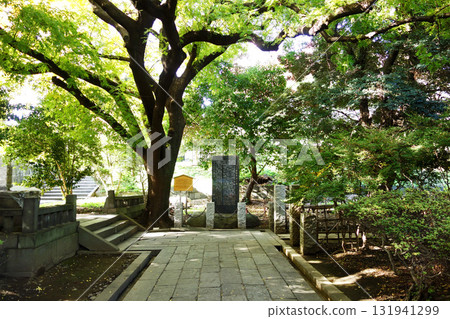湯島精道的怪獸樹（東京都文京區） 131941299