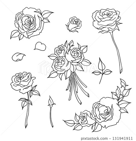 Rose black and white line drawing illustration set 131941911