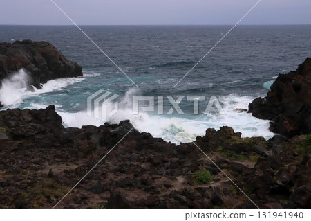 Jogasaki Coast (Ito City, Shizuoka Prefecture) Jogasaki Coast (Ito City, Shizuoka Prefecture) 131941940
