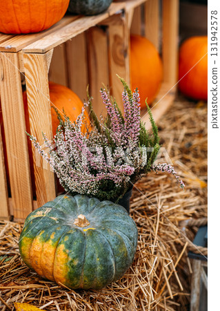 A green pumpkin and blooming heather rest on straw next to wooden crates of autumn produce. Seasonal market display, natural decor, harvest atmosphere, local food culture A green pumpkin and blooming heather rest on straw next to wooden crates of autumn produce. Seasonal market display, natural decor, harvest atmosphere, local food culture 131942578