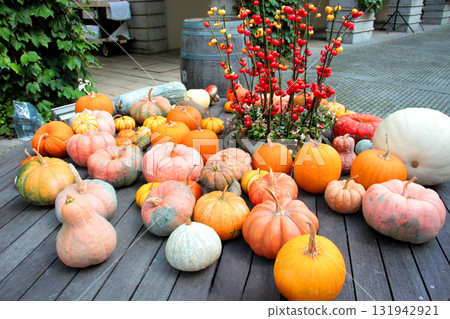 萬聖節南瓜 131942921