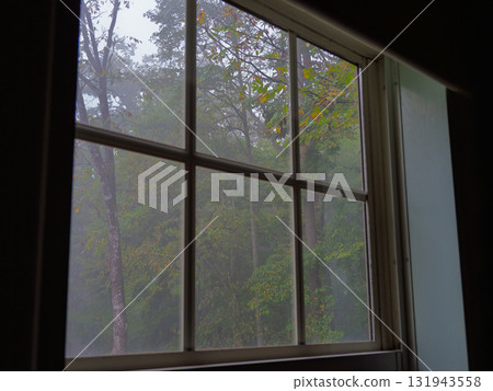 A quiet morning looking out the window at the misty forest A quiet morning looking out the window at the misty forest 131943558