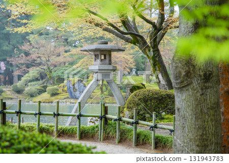 Kanazawa: Kotoji lanterns at Kenrokuen Garden, surrounded by fresh greenery and bamboo fences (Ishikawa) 131943783