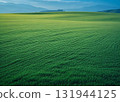 廣闊的草原 131944125
