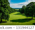 綠色草坪 131944127