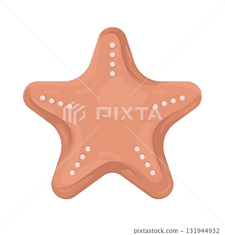 Illustration of starfish  131944932