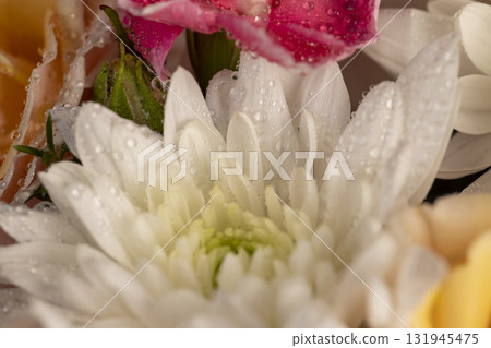 arrangement of a large variety of flowers , a flower arrangement for giving from different colors and different types of flowers arrangement of a large variety of flowers , a flower arrangement for giving from different colors and different types of flowers 131945475