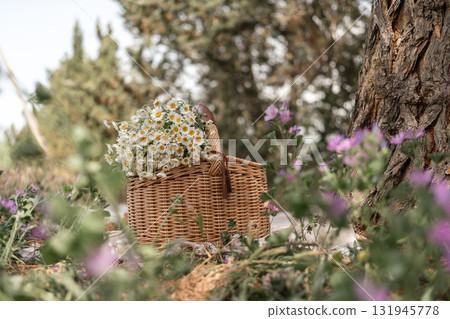 Daisies Basket Picnic: Woven basket filled with flowers by tree during outdoor summer picnic. Daisies Basket Picnic: Woven basket filled with flowers by tree during outdoor summer picnic. 131945778