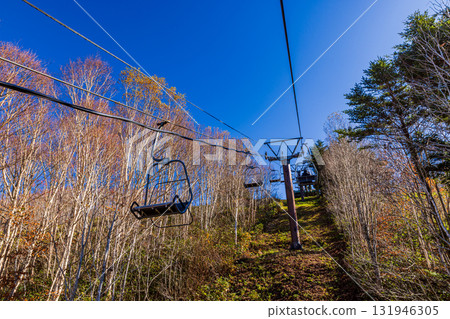 Autumn scenery in Naeba, Niigata Prefecture 131946305