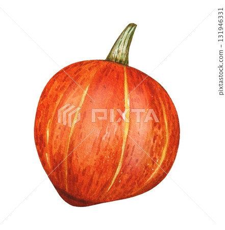 Hand drawn pumpkin in bright orange tones. Autumn decor. Watercolor botanical illustration. Hand drawn pumpkin in bright orange tones. Autumn decor. Watercolor botanical illustration. 131946331