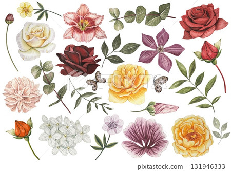 Collection with autumn buds and leaves. Roses, dahlia, clementis, lily, eucalyptus. Watercolor illustration Collection with autumn buds and leaves. Roses, dahlia, clementis, lily, eucalyptus. Watercolor illustration 131946333