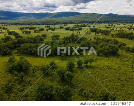 Expansive green landscapes in Vladivostok, Russia during a cloudy day Expansive green landscapes in Vladivostok, Russia during a cloudy day 131946847