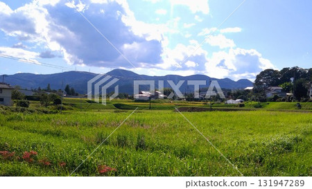 田園風光 田園風光 131947289