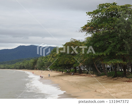 Palm Cove Beach – People gathering in the shade of the trees and the margins of the waves Palm Cove Beach – People gathering in the shade of the trees and the margins of the waves 131947372