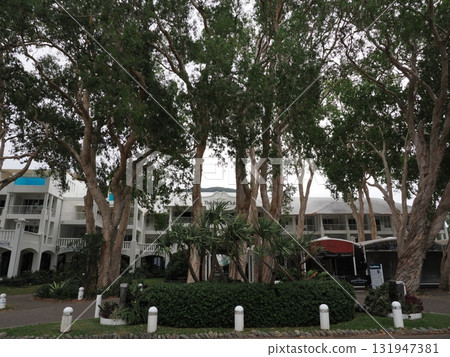 Palm Cove Garden – A quiet entrance surrounded by circular plantings Palm Cove Garden – A quiet entrance surrounded by circular plantings 131947381