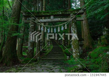The torii gate and approach to Takazumi Shrine The torii gate and approach to Takazumi Shrine 131947445