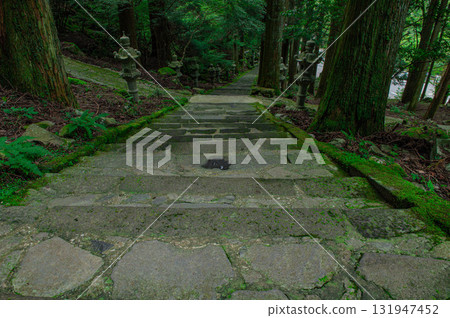前往高曇神社的參道 前往高曇神社的參道 131947452