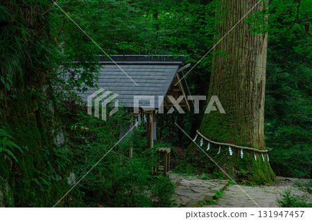 高曇神社的天狗杉和淨水屋（淨化噴泉） 131947457