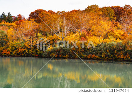 Autumn scenery of Mount Hakkoda and Jigoku-numa Swamp, with beautiful autumn foliage Autumn scenery of Mount Hakkoda and Jigoku-numa Swamp, with beautiful autumn foliage 131947654