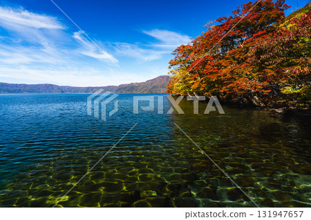 十和田湖的紅葉與清澈的湖水 131947657