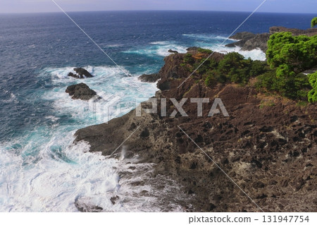 石廊崎（靜岡縣南伊豆町） 131947754