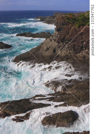 石廊崎（靜岡縣南伊豆町，縱向構圖） 131947762