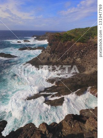 石廊崎（靜岡縣南伊豆町，縱向構圖） 131947769
