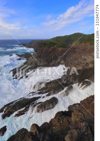 Cape Irozaki (Minamiizu Town, Shizuoka Prefecture, vertical composition) 131947774