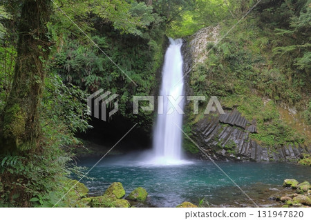 Joren Falls (Izu City, Shizuoka Prefecture) Joren Falls (Izu City, Shizuoka Prefecture) 131947820