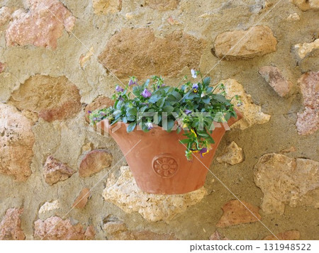 Wall-mounted planter in Pienza, Italy Wall-mounted planter in Pienza, Italy 131948522