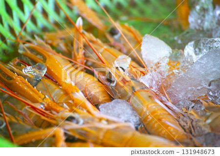 Seafood delicacies: traditional fish market shrimp Seafood delicacies: traditional fish market shrimp 131948673