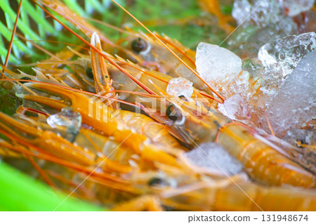 Seafood delicacies: traditional fish market shrimp Seafood delicacies: traditional fish market shrimp 131948674