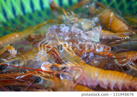 海鮮美食:傳統魚市蝦 海鮮美食:傳統魚市蝦 131948676