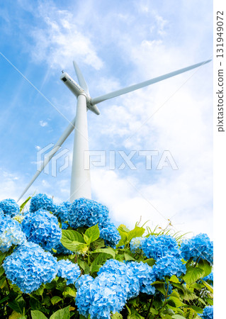 風車和繡球花 131949072