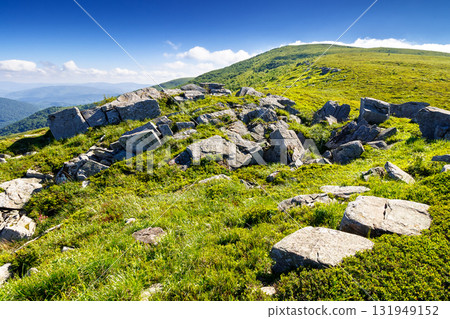 wonderful summer landscape in mountains. rocks and boulders on the green slope with grassy meadow. beautiful view in morning light. ukrainian carpathians alpine scenery under blue sky wonderful summer landscape in mountains. rocks and boulders on the green slope with grassy meadow. beautiful view in morning light. ukrainian carpathians alpine scenery under blue sky 131949152