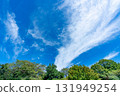 Blue sky, clouds and grove 131949254
