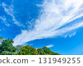 Blue sky, clouds and grove 131949255