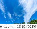 Blue sky, clouds and grove 131949256