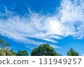 Blue sky, clouds and grove 131949257