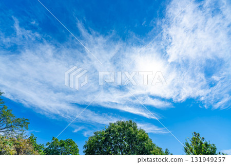 藍天，白雲和樹林 131949257