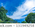 Blue sky, clouds and grove 131949258
