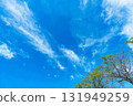 Blue sky, clouds and grove 131949259
