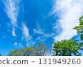 Blue sky, clouds and grove 131949260