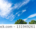 Blue sky, clouds and grove 131949261
